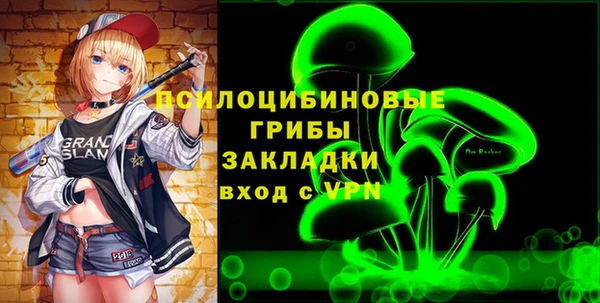 ПСИЛОЦИБИНОВЫЕ ГРИБЫ Покров